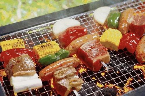 自助烧烤爆料视频教程,烧烤达人教你轻松掌握自助烧烤技巧  第1张