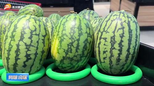 潍坊吃瓜网红有哪些公司,潍坊吃瓜网红背后的公司概览  第2张